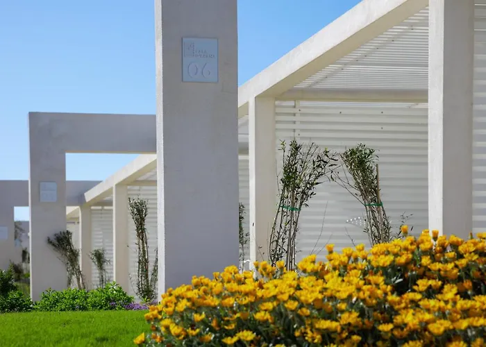 Stunning Capo Falcone Charming Nm1359 Стинтино
